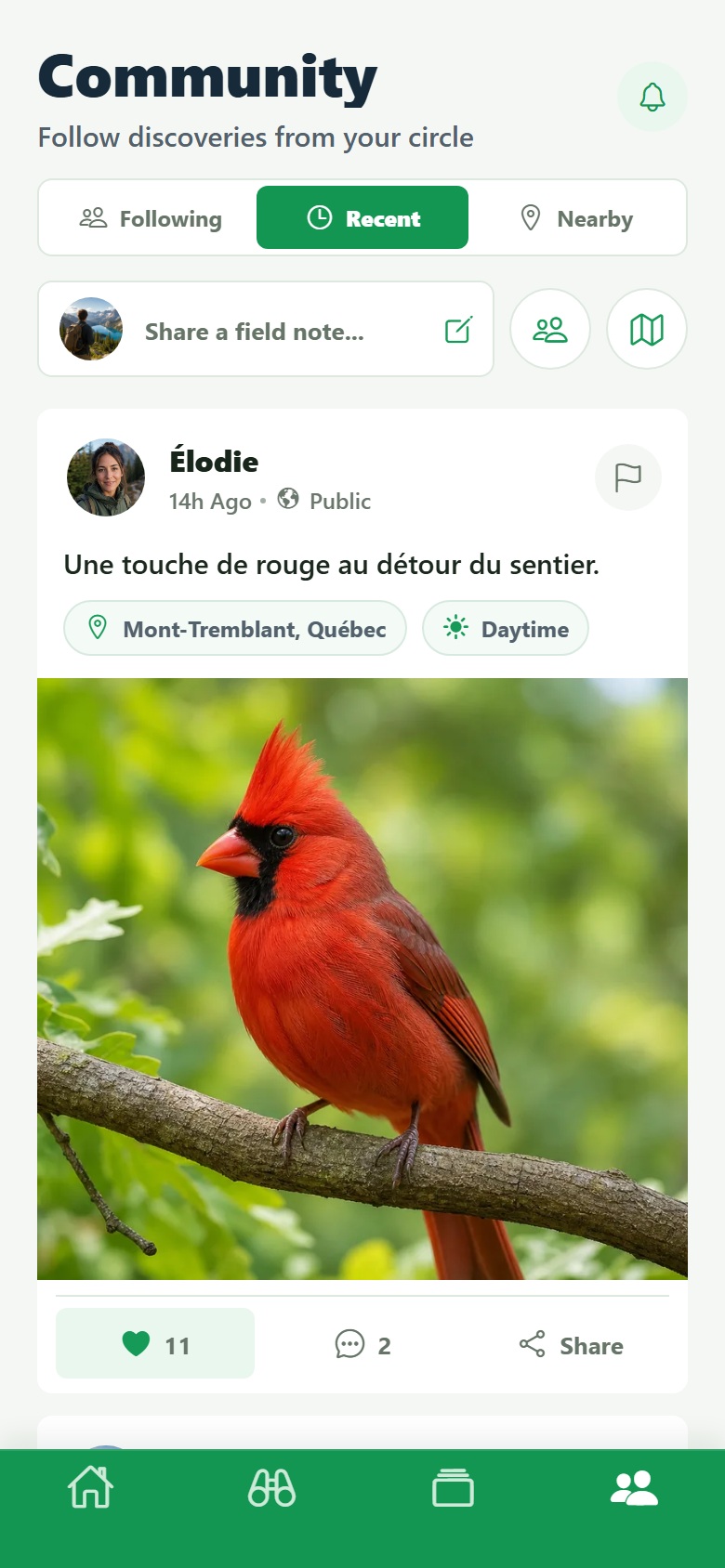 Page Communauté montrant une publication fictive d’Élodie avec son avatar féminin et la photo d’un Cardinal rouge